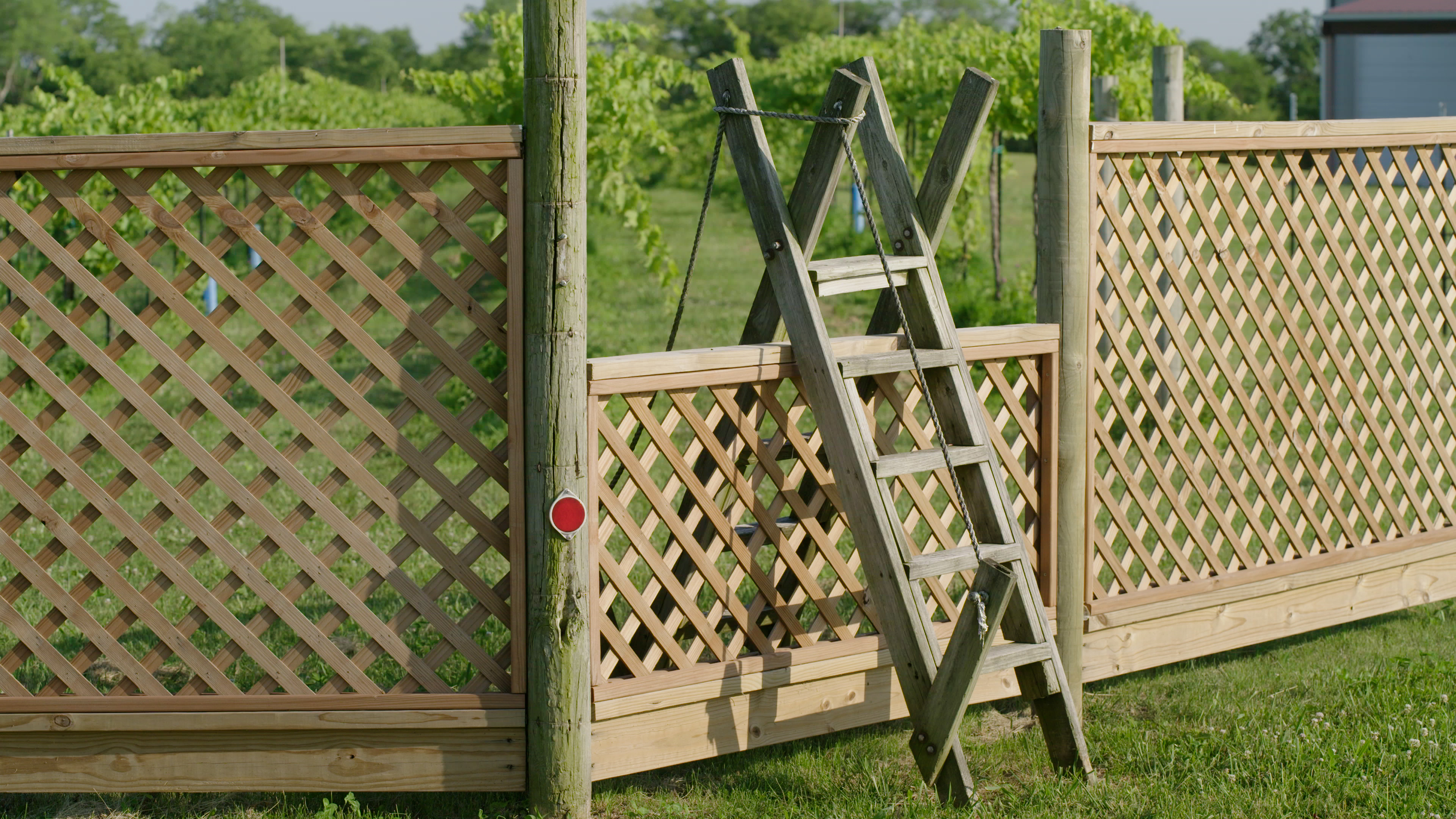 Wooden fence stile at Fence Stile Vineyards with vineyard rows in the background