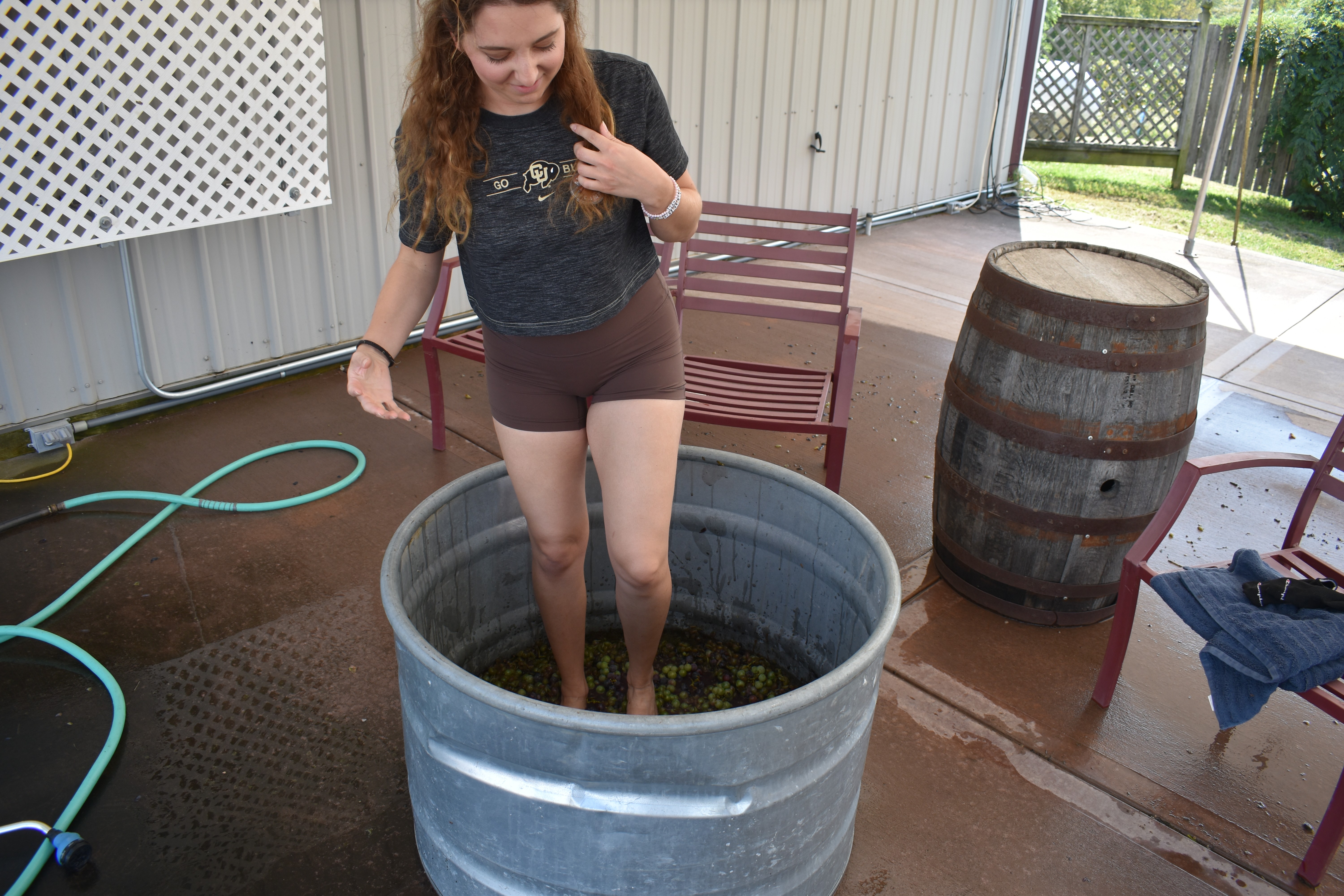 Guest actively stomping grapes during the Fence Stile Grape Stomp