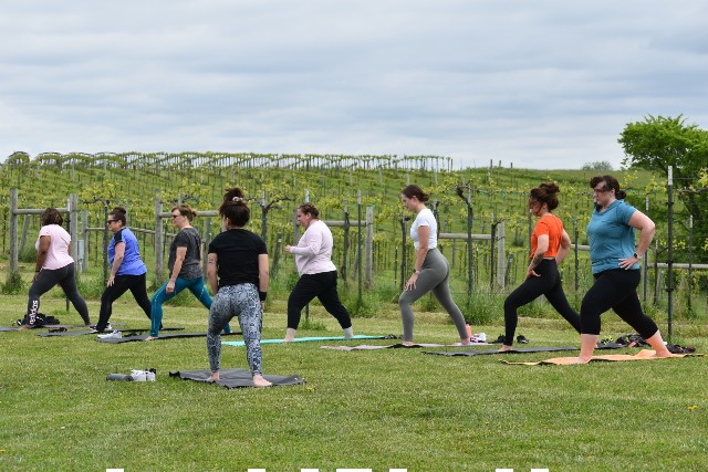 Group retreat setting near the vineyard and countryside at Fence Stile