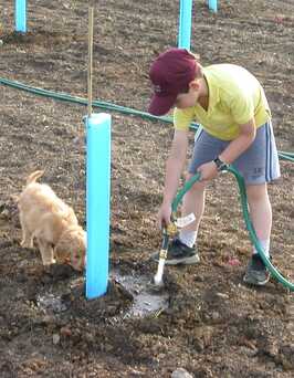 Watering the initial plantings